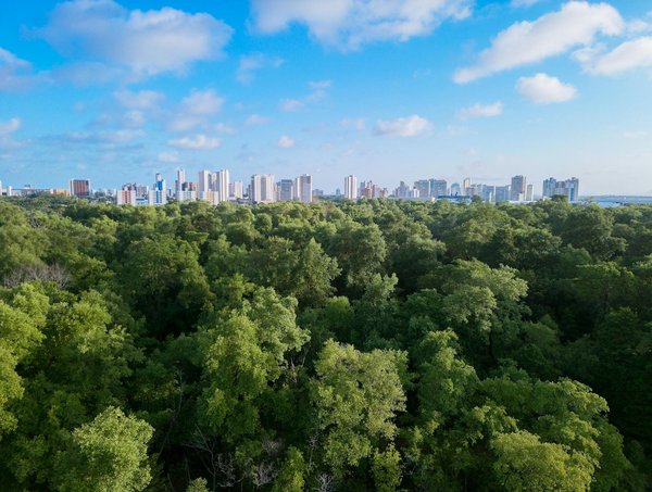 Guide pratique pour intégrer le cbd dans votre routine quotidienne